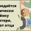 Что передается генетически ребенку от матери, а что от отца