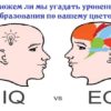 Сможем ли мы угадать уровень вашего образования по вашему цветовому IQ?