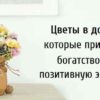 Цветы в доме которые приносят богатство и позитивную энергию