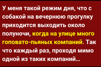 Забавные истории из жизни. Хороший юмор для хорошего настроения