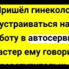 Лучший Анекдот Про Гинеколога!